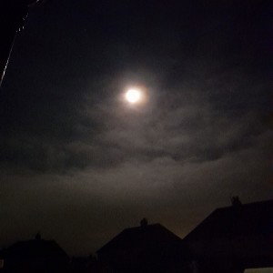 Fragments (Freestyle)