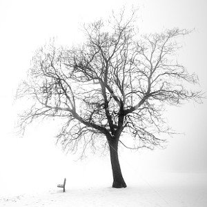 l’hiver