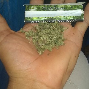 pa riba o pa bajo alomejor