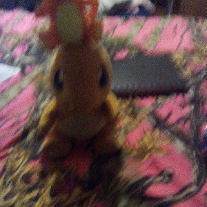 Charmander The Best But Bulbasaur is the worst