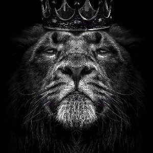 KING 
