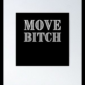 Move Bitch (Rough)