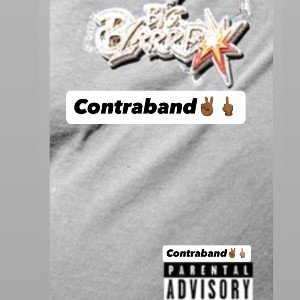 302ice-Contraband 3