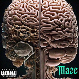 Maze