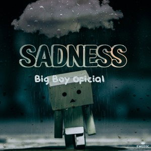 Sadness