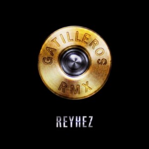 RYHZ -GATILLEROS RMX