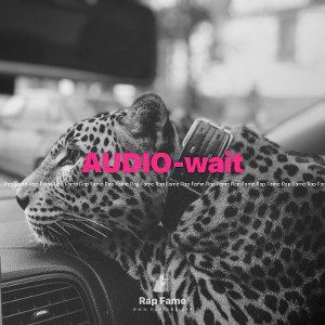 AUDIO-wait 