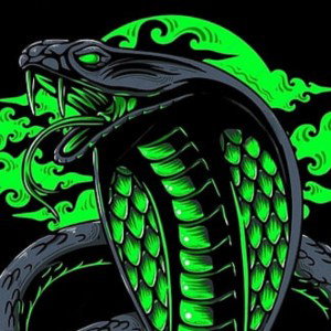 la serpiente ataca dos veces
