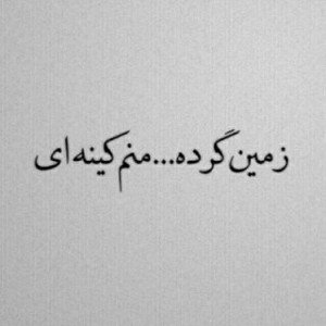زمین گرده❗