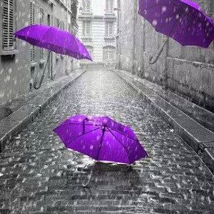 چتر☔💧⛈️