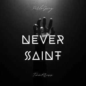  Never Saint 🖤  ft Tina kriss