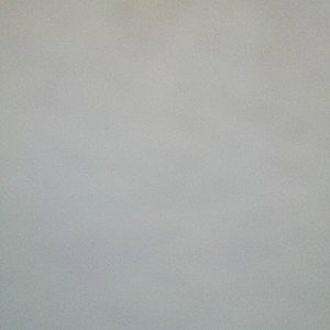 تریپ لاتی 
