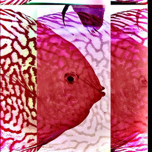 THINGS CHANGE by JAMIE PO (PROD. ROSTOLETTA)