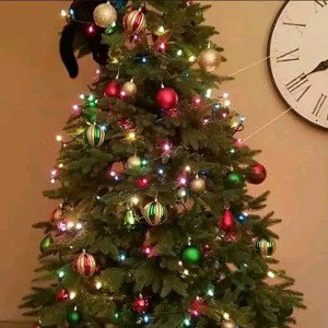 Merry Christmas 🎅 🎄 