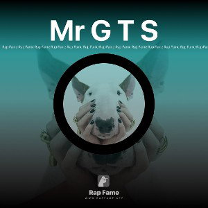 Mr G T S 