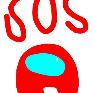 the sus