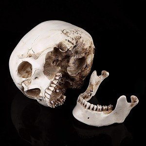 Memento Mori