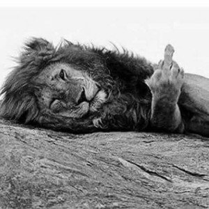 🖕🏻وسع🔥 وسع 🖕🏻