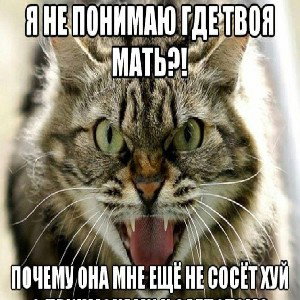 лучший трек в мире 