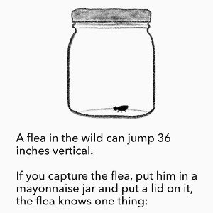 BE THE LIGHT