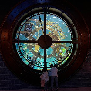 NoTime- Slickadelaphante