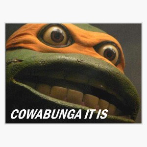 Ninja $h*t