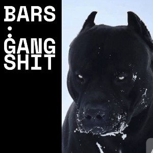 Gang Shit 