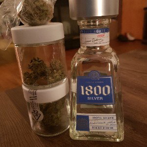 Blocb boy freestyle bitch 
