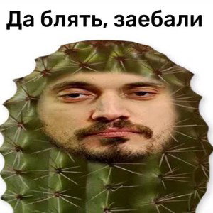 spb?