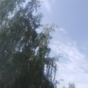 Месяц Август 🌄