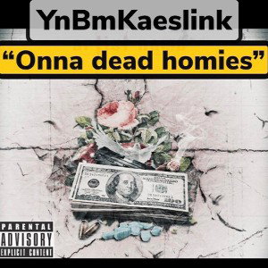 YnBmKaeslink-Onna-de