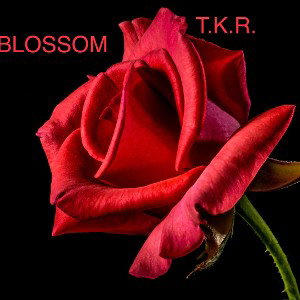 BLOSSOM