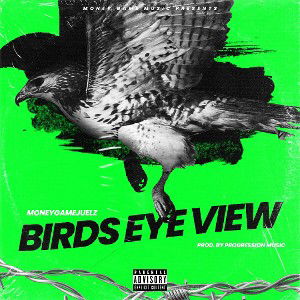 Birds Eye View