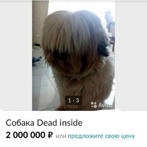 Бэйбитрон