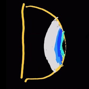 Eye D - worth Duckets