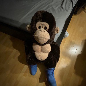 Monkeyinchampiontimbs