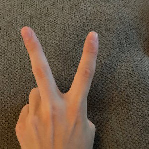 2 vaginas 