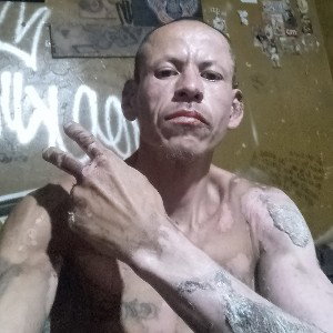polvo en mi alma 