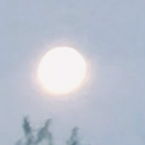 MidSummerDay.