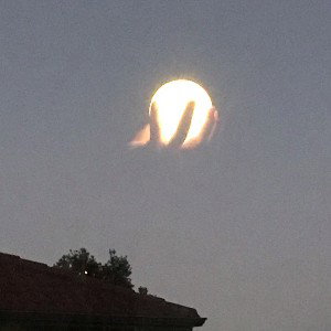 Moon-lit Nightz