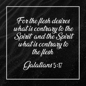 The fruit of the spirit