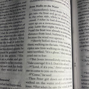 Jesus walks on the water
