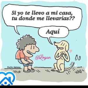 mi mamá se fue 