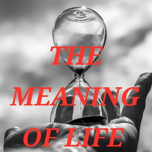 THE MEANING OF LIFE