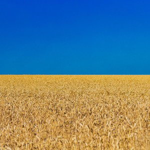 Сонце над Новотроїцьким