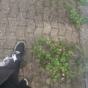 Legacy der Nostalgie 