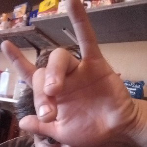 freestyler