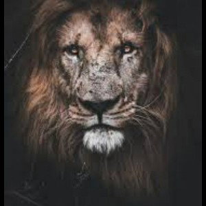 beast