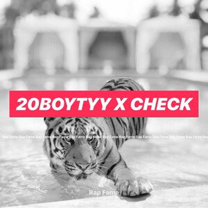 20BoyTyy x check