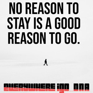 DNA - Everywhere Igo 